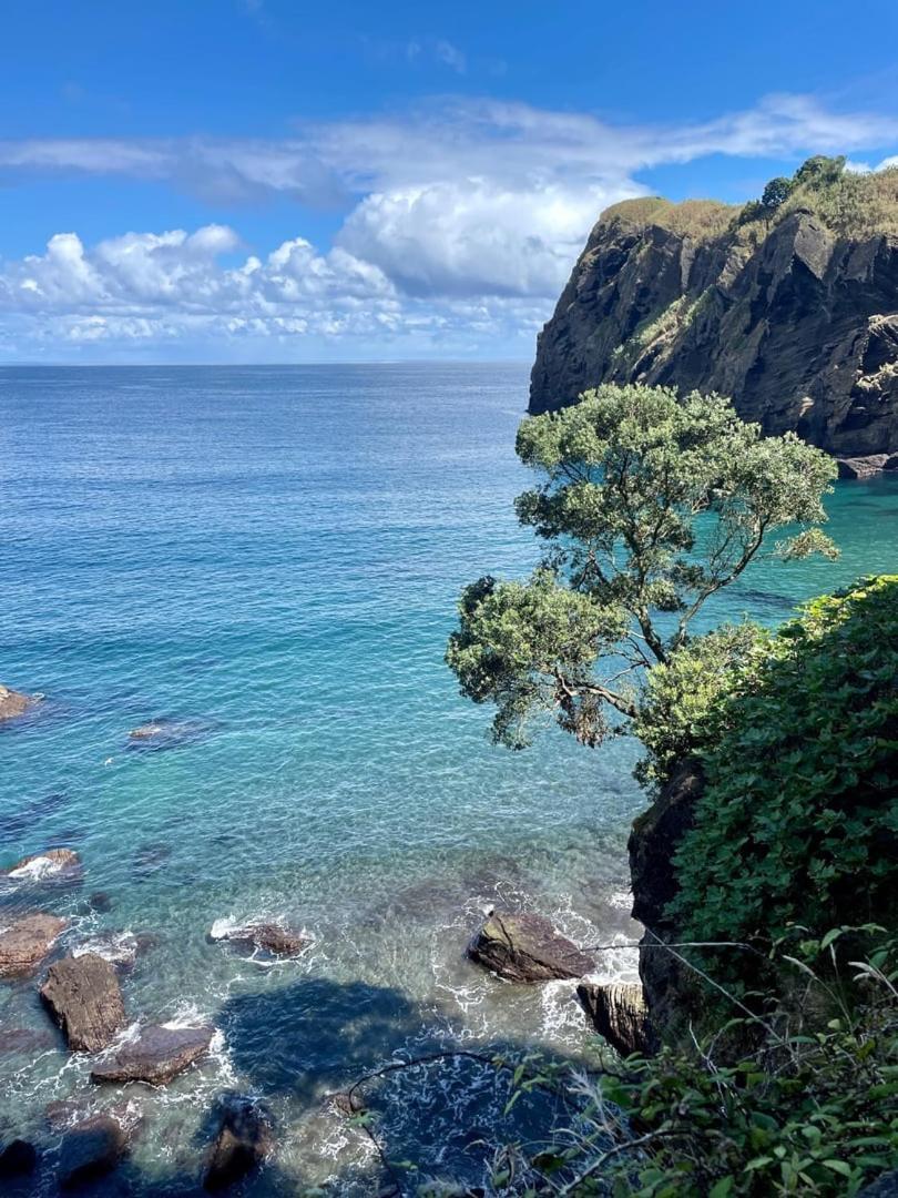 The Blue House Azores 카펠라스 외부 사진
